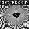 Meshuggah