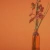 IV OF SPADES - Hey Barbara