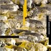 Bertoia - MODERN SYNTHESIS