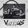 VIVIZ - VarioUS