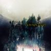 かめりあ [Camellia] - Fly to night, tonight