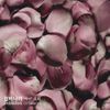 잠비나이 [Jambinai] - Diff&eacute;rance