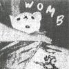 Vile Karimi - Womb Trails