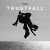 TRUSTFALL