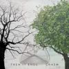 Then It Ends - Chasm