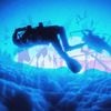 sammythefish - Saturation Diving