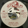 Narobh Sisters & The Gaytones - Promised Land/Version