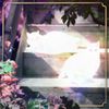 The Scary Jokes - Retinal Bloom