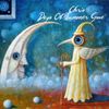 Chris - Days of Summer Gone
