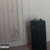 softpest - filler song