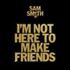 Sam Smith - I'm Not Here To Make Friends
