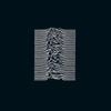 Unknown Pleasures [Collector's Edition]