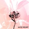 lexycat - from flowers