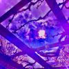 lexycat - Moonflower