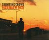 Counting Crows - Big Yellow Taxi