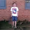 Lil Shark - The Shark Tank