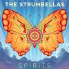 The Strumbellas - Spirits