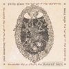 Allen Ginsberg - The Ballad of the Skeletons
