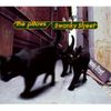 the pillows - Swanky Street