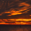 p.rosa - ...I Watched 10 Years of Pacific Weather...
