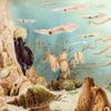 Chypho - Episodes in Oceanography