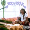 Cochise - PERM
