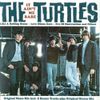 The Turtles - It Ain't Me Babe