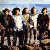 The Turtles - Turtle Soup