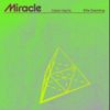 Calvin Harris & Ellie Goulding - Miracle