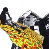 Exploding Flowers - Exploding Flowers