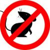 Ultrasonic Pest Repeller - Mouse Repellent