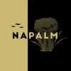 The Palmer Squares - NaPalm