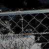 Coileight - Only Kept Around