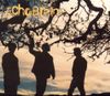 EchoBrain - EchoBrain