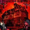HELLSING MANOR