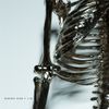 Kingsmen - Bones Don&rsquo;t Lie