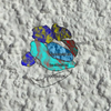 H4C - VCCB