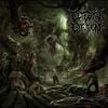 Cerebral Effusion - Ominous Flesh Discipline