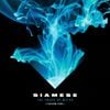Siamese - The Shape of Water