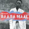 Baaba Maal - Firin' in Fouta