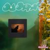 Le Makeup - Odorata
