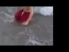 Yung Lean - Roses