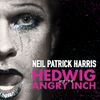 Broadway Cast - Hedwig and the Angry Inch (Original Broadway Cast Recording)