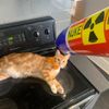DJ Smokey - I JUST SHOVED A NUKE UP MY PUSSY
