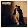 Niall Horan - Meltdown