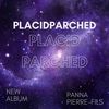 AnthonySTF - The Placid Paricd EP