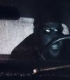 Belly - American Nightmare