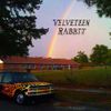cr1tter - Velveteen Rabbit