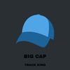 TRACK KING - Big Cap