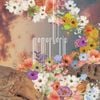 Memorydrip - memorydrip